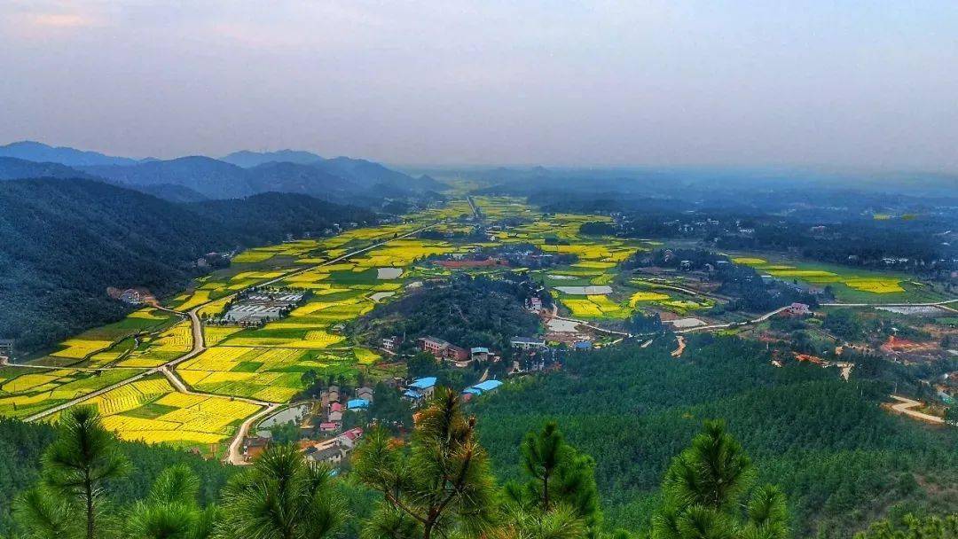 衡阳县这个偏远山村四季都有美丽风景每年吸引5万游客
