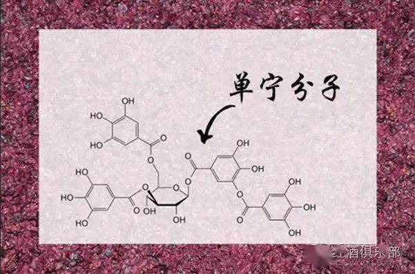 Answers|喝红酒时，口腔中为什么会有涩的感觉？