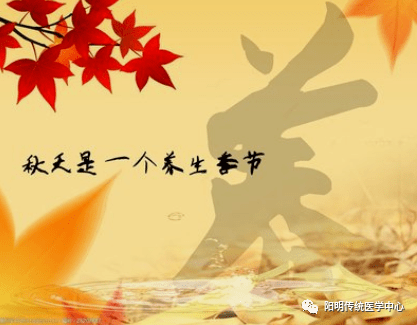 578e16e5057d4c6bbbbaed50c04d3535.png