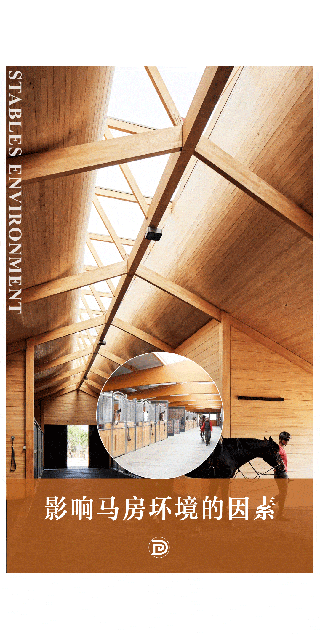 陈泽文 ∣ 设计:张纯图片来源:中国马会摄影家分会,网络专题:影响马房