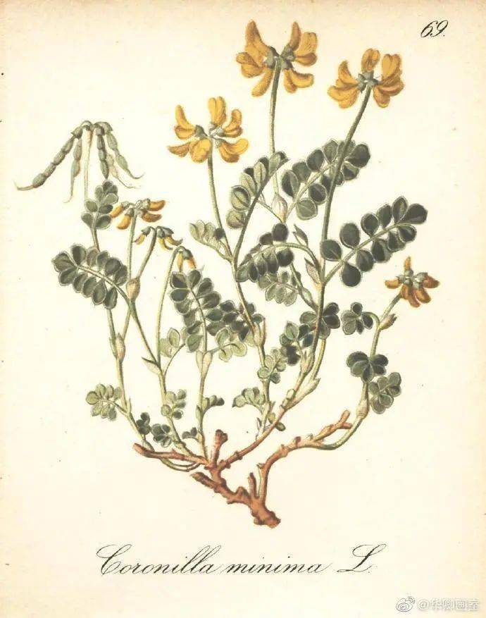 new|What's new | 请查收这份抗老新思路