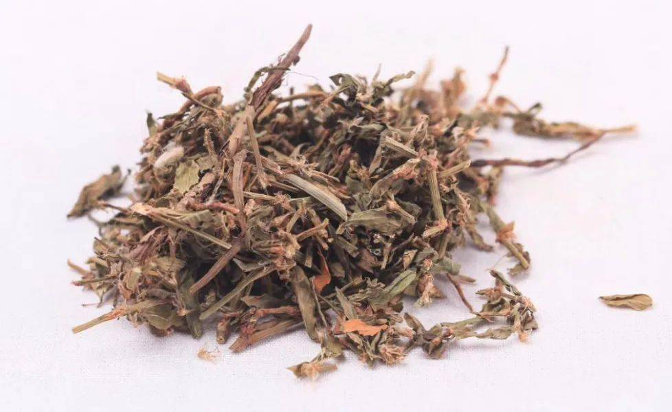 胡博士说中药利尿通淋杀虫止痒聊聊中药扁蓄