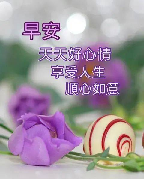 入秋微冷清晨早上好問候祝福語錄精美句子 非常漂亮早上好圖片表情