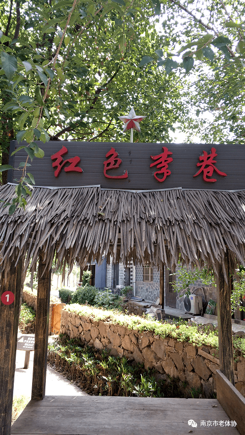 红色之旅李巷一日