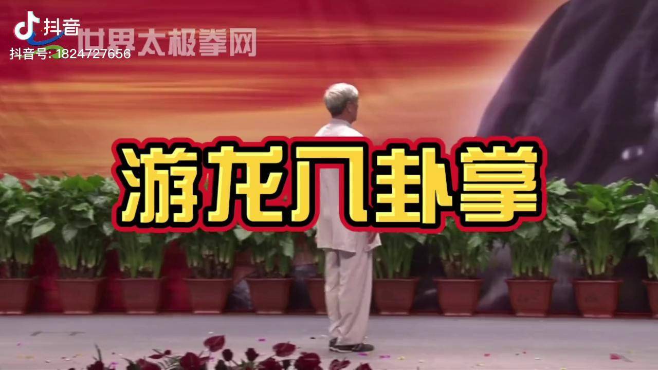 张全亮游龙八卦掌太极八卦掌