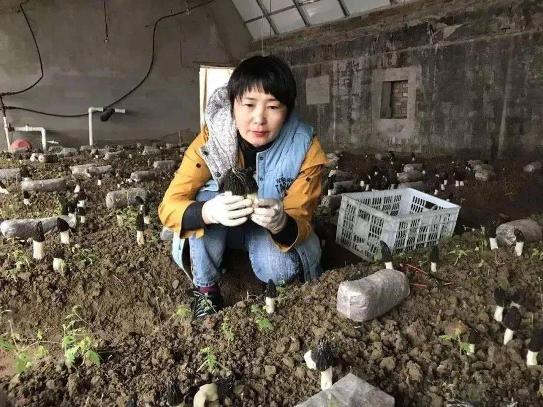 党的十九大召开后,宋丽新组织召开社员集中学习十九