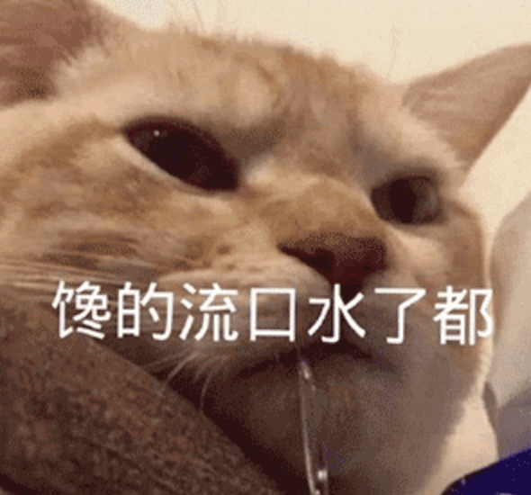 颜色|日常、度假、约会仙气爆灯！这件风琴衬衫也太抢眼了吧？！