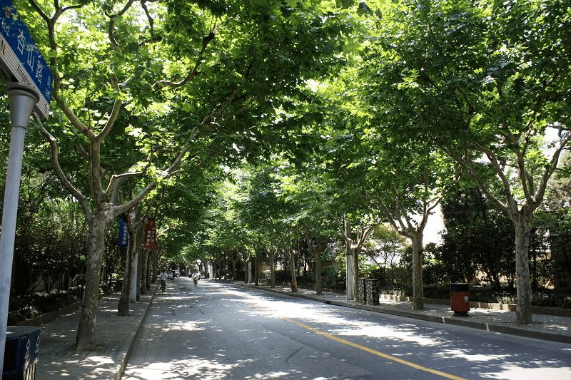 10 江 宁 路 (安远路 - 澳门路) 11 延 长 西 路  (沪太路 - 双山