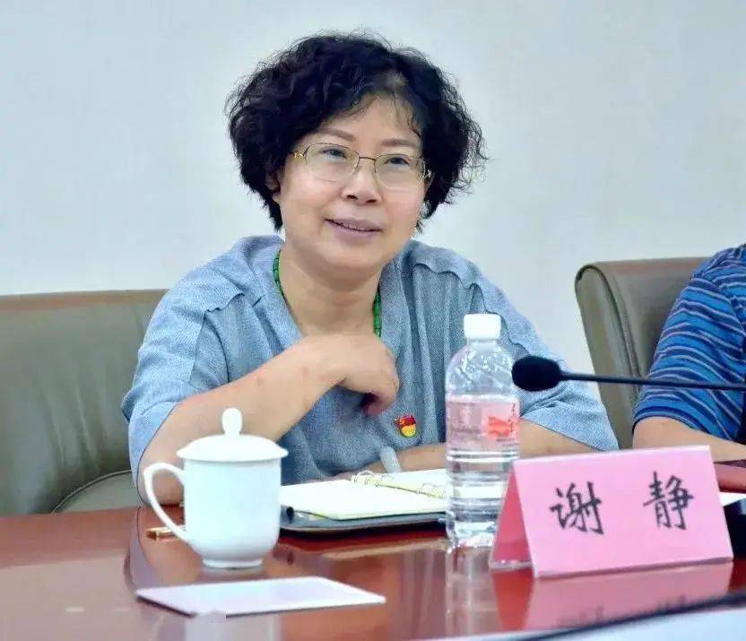 区委统战部副部长区工商联党组书记谢静带队到街道商会调研指导工作