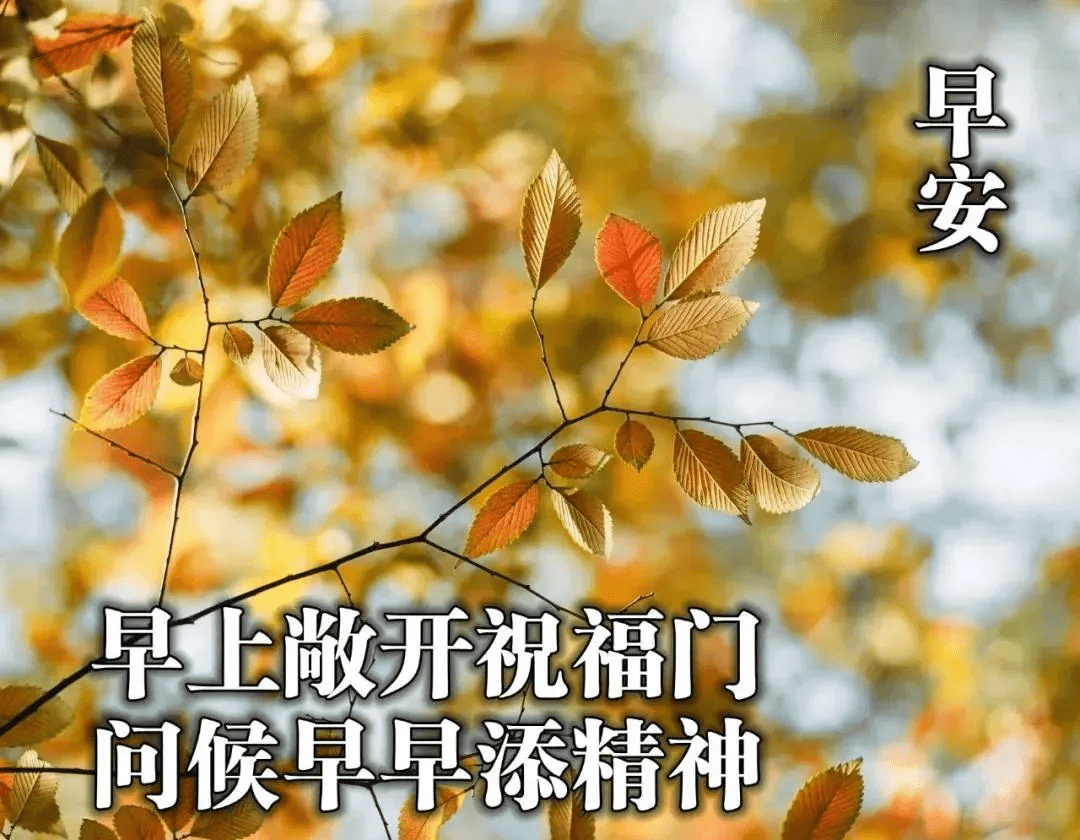 c16e3f04aa6741e6a718e008637180e2.png