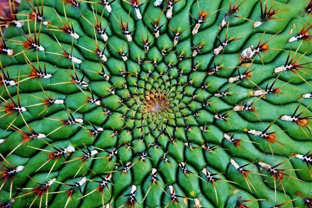 white|获奖公布 | 2021年德国CEWE摄影奖（建筑与构成组）获奖作品名单