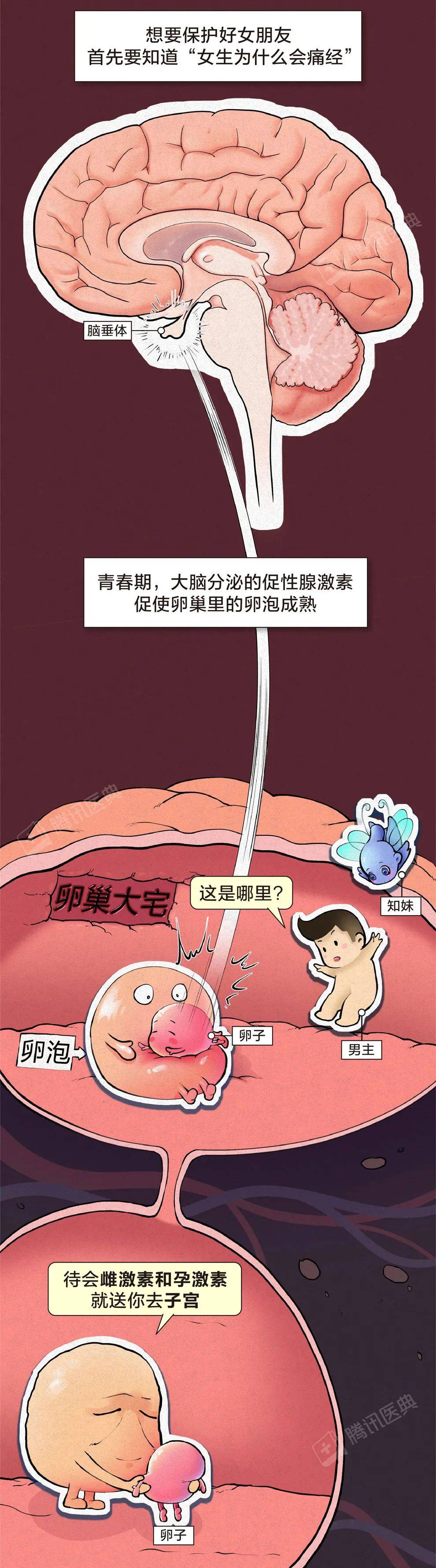 指数|生完孩子就不会痛经了？太天真