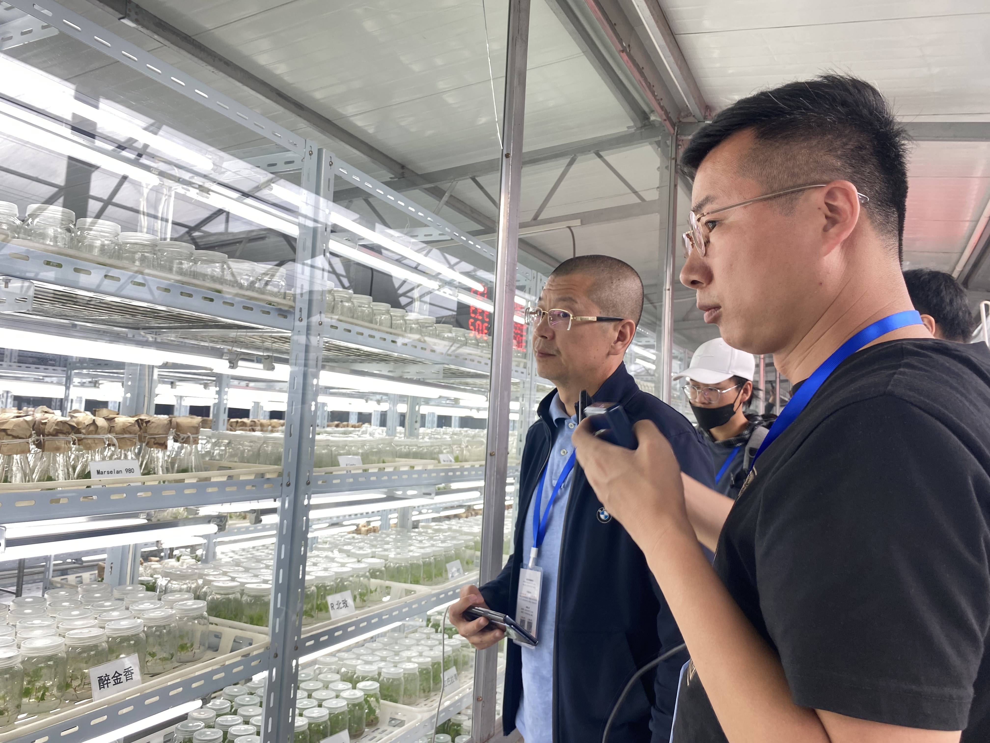 葡萄|网络名人眼中的“宁夏贺兰山东麓”