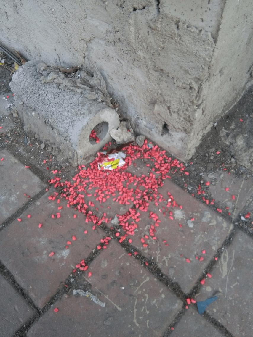 稿件|一周城市生活丨流动的丰盈