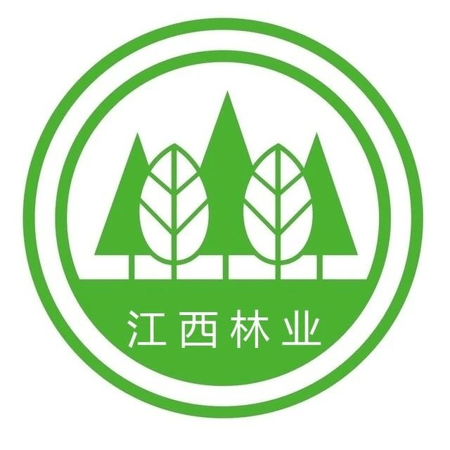 严成表示,下一步省林业局将在江西现代林业产业示范省建设领导小组的