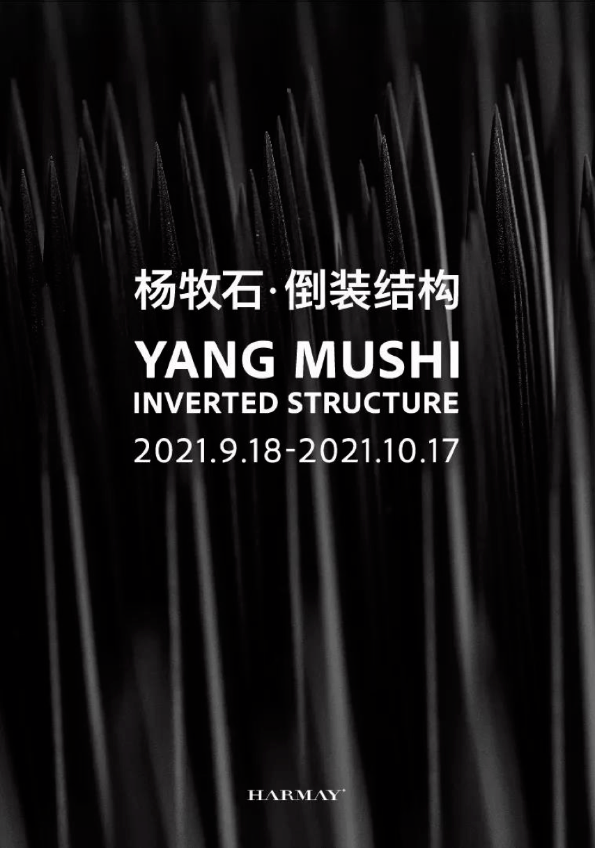 稿件|一周城市生活丨流动的丰盈