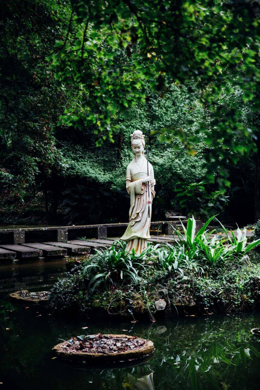 昆明这里藏着一个"外星"植物展馆,随手拍大片,你还不来打卡?