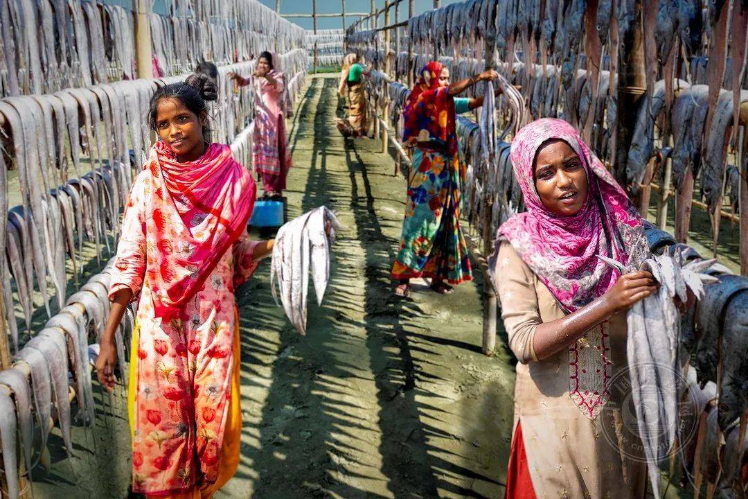 国际|获奖公布丨2021第十届台中国际摄影艺术展作品（女性专题组）