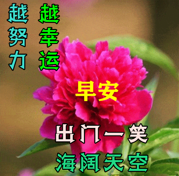 9月17日早上好动态表情图片大全早晨好动图美图大全