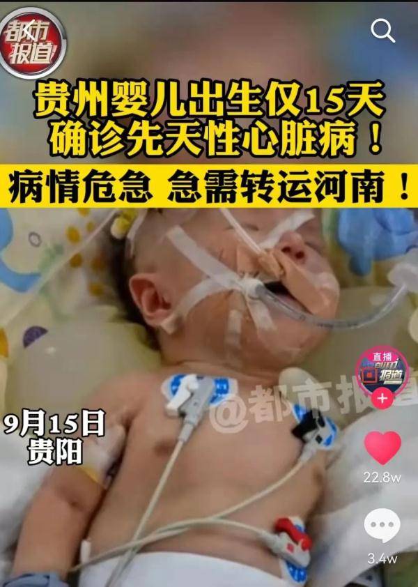 核桃|核桃大小的心臟跳動有力！貴D9288警，任務順利完成！