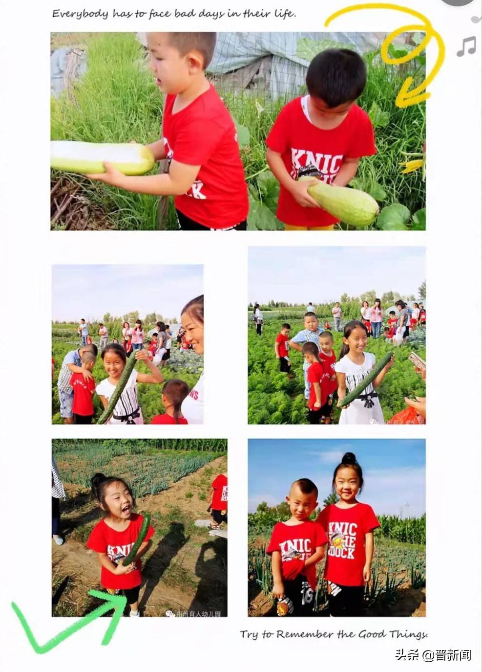 活动|朔州市朔城区育人幼儿园:社会实践活动在幼儿中生根发芽