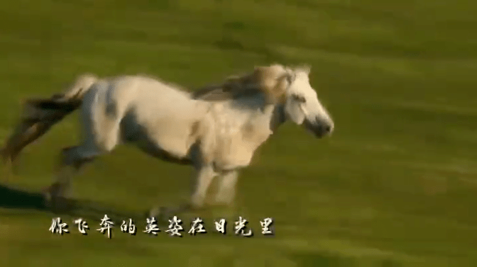 166e26104d9d47cca64db277f6aa1d90.png