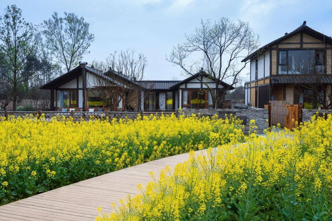 稻乡田园,渔歌四起 | 大邑·稻乡渔歌_川西