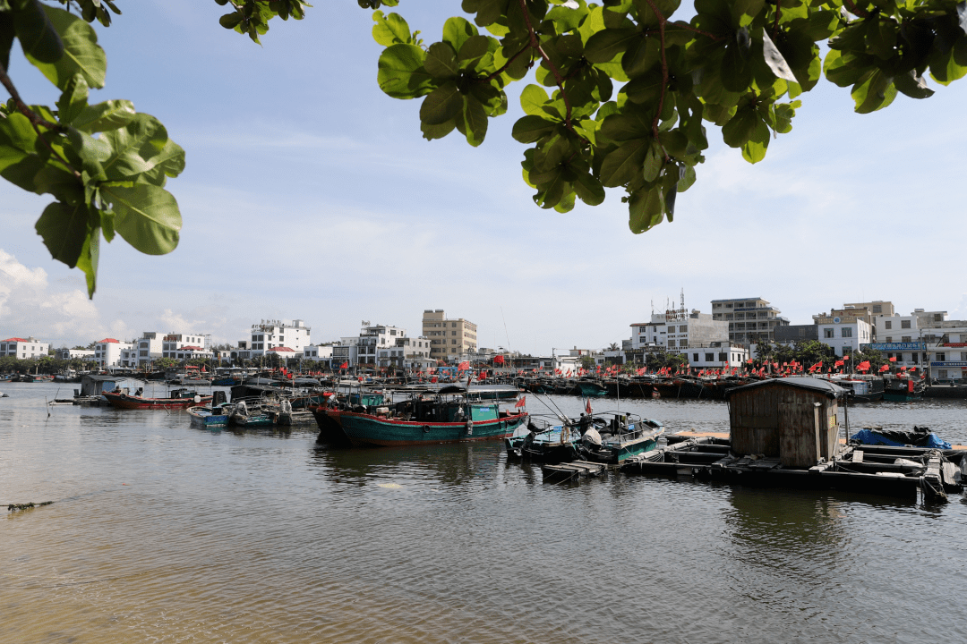 文苑品读|林小毅 :潭门排港村——千年古渔村的历史记忆