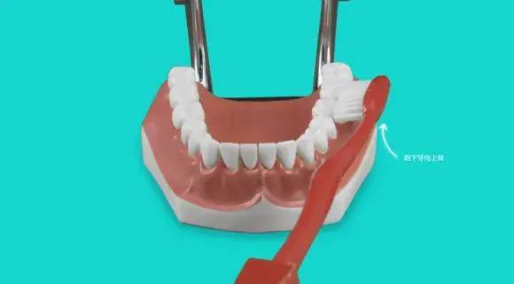 图片|5岁男孩突发急性肾炎，病根竟然是在口腔里