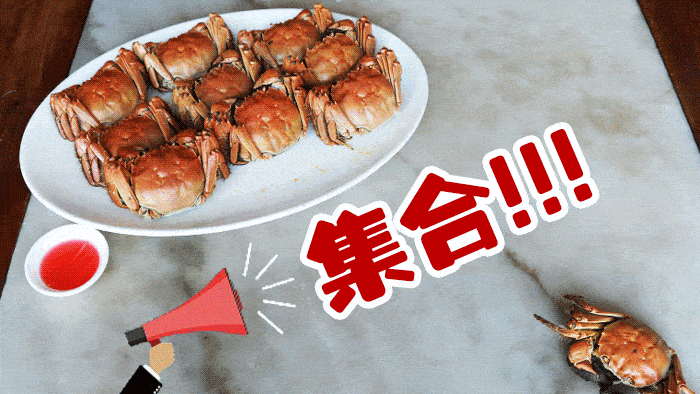 b50161bc41fb46209486037a936562b0.gif