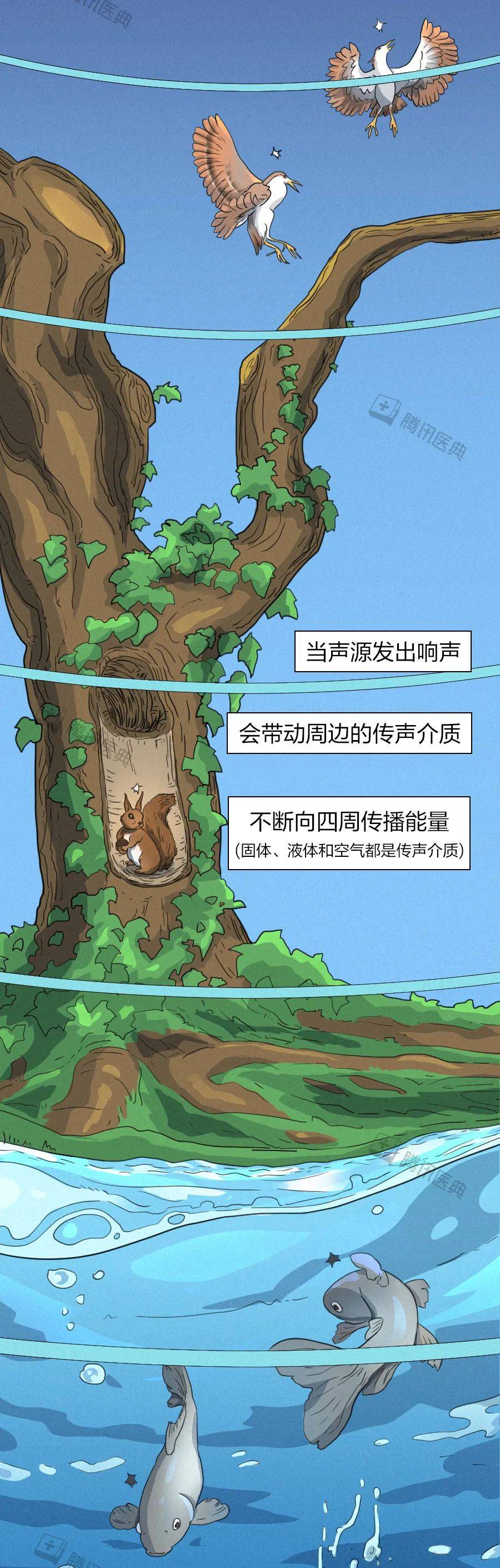 声音|海岛一声巨响，半船人“耳朵没了”丨声音是怎么杀人的？