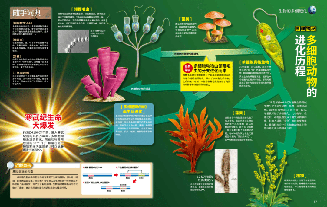 页页|高分硬核图书！1000+科普点，3000+精美配图，页页精彩有趣
