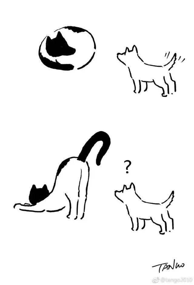 e302a608e94d46eca69281357b8c95b2.jpeg