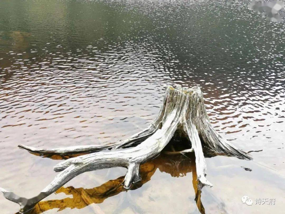 悠然 秋雨 笔耕