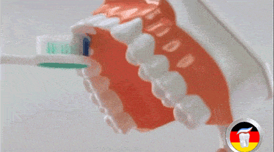 家长|每天刷牙两次的上海成人仅六成，3岁娃近半乳牙都蛀了！护牙宝典收好