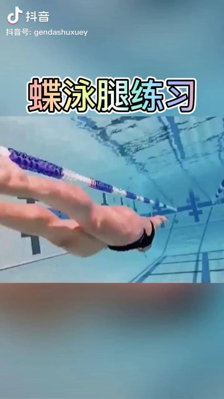 蝶泳腿向后向下鞭状打腿游泳学游泳游泳技巧蝶泳蛙泳桦树汁喷然心动