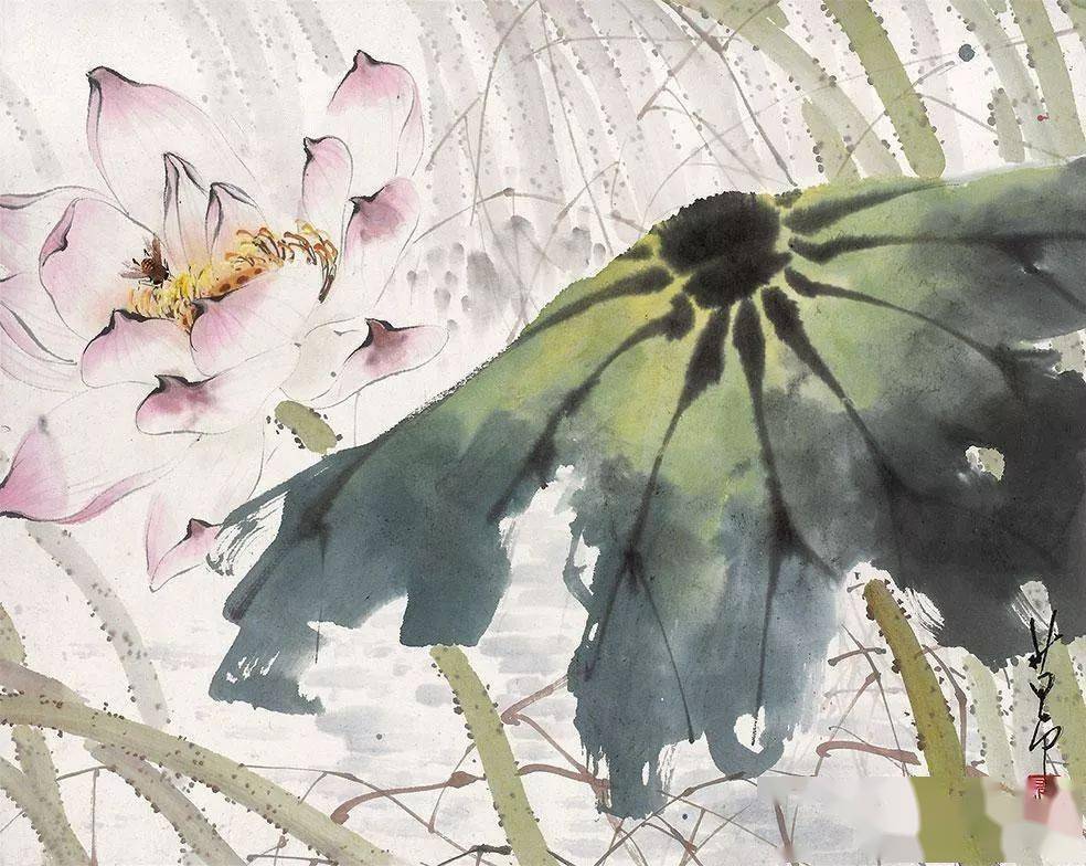 赵少昂 荷画欣赏与画荷经验谈_荷花