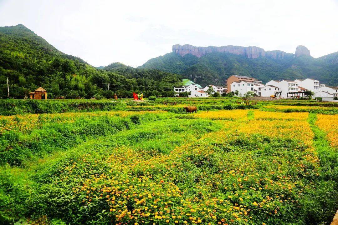 大溪镇方山村再获"国字号"殊荣 还是全市唯一