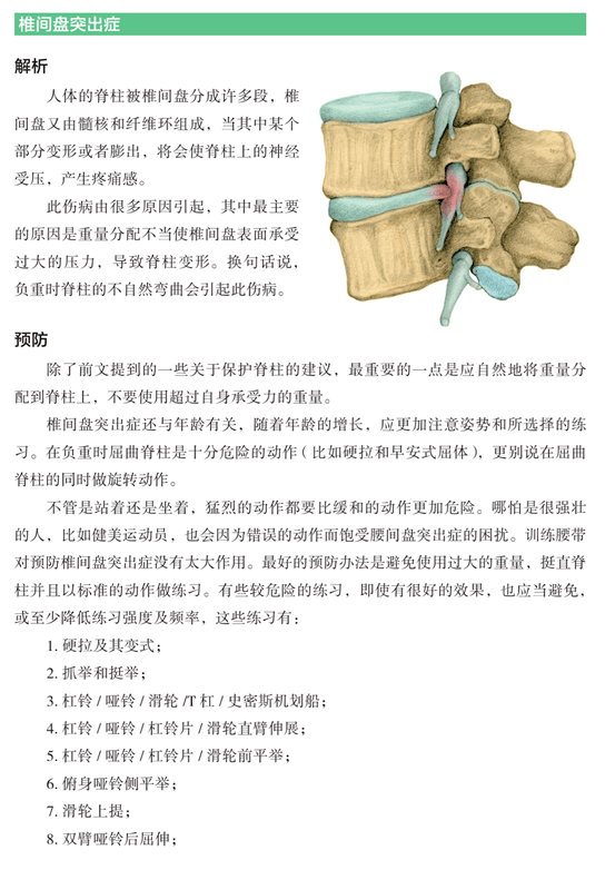 薦書| 增肌的9條原則_訓練