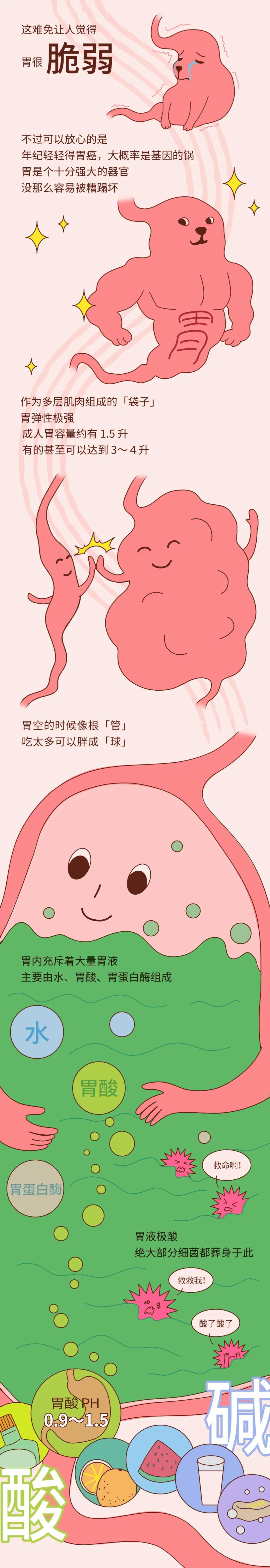 of|你的胃，就是这样坏掉的