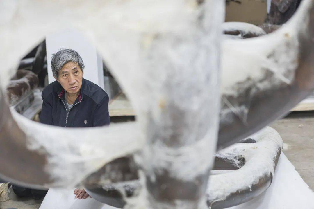 梁绍基:我是一条蚕