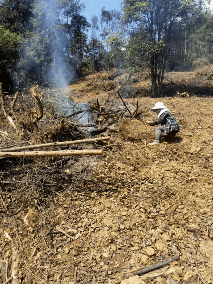 违规野外用火严厉依法惩处