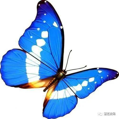 2d8c37de692a451fbe725419f5ab4b90.jpeg