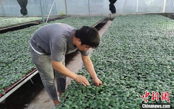 小金牛服务电话 还款后又下款怎么办样处理 07 海贼王网