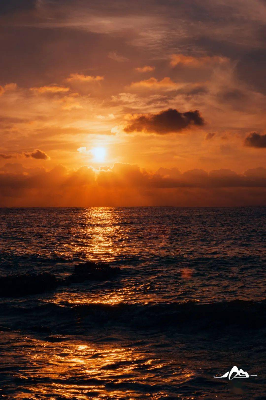 惠民抢票日光与月色打成平手陷入秋日温柔打一节气