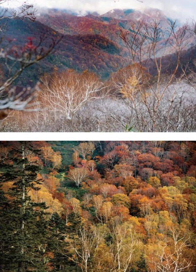 口袋 舒适又时髦的出行搭配指南