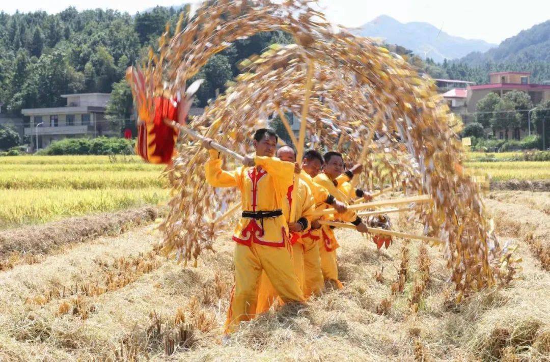 衡阳稻草龙图片