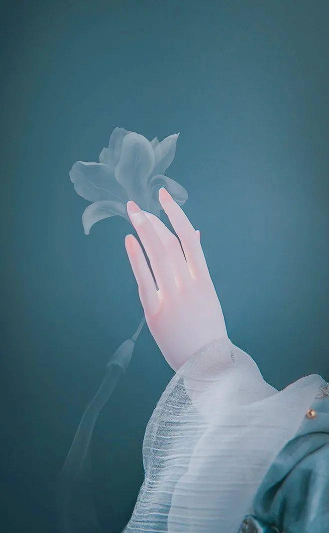 莲,是人间一缕禅