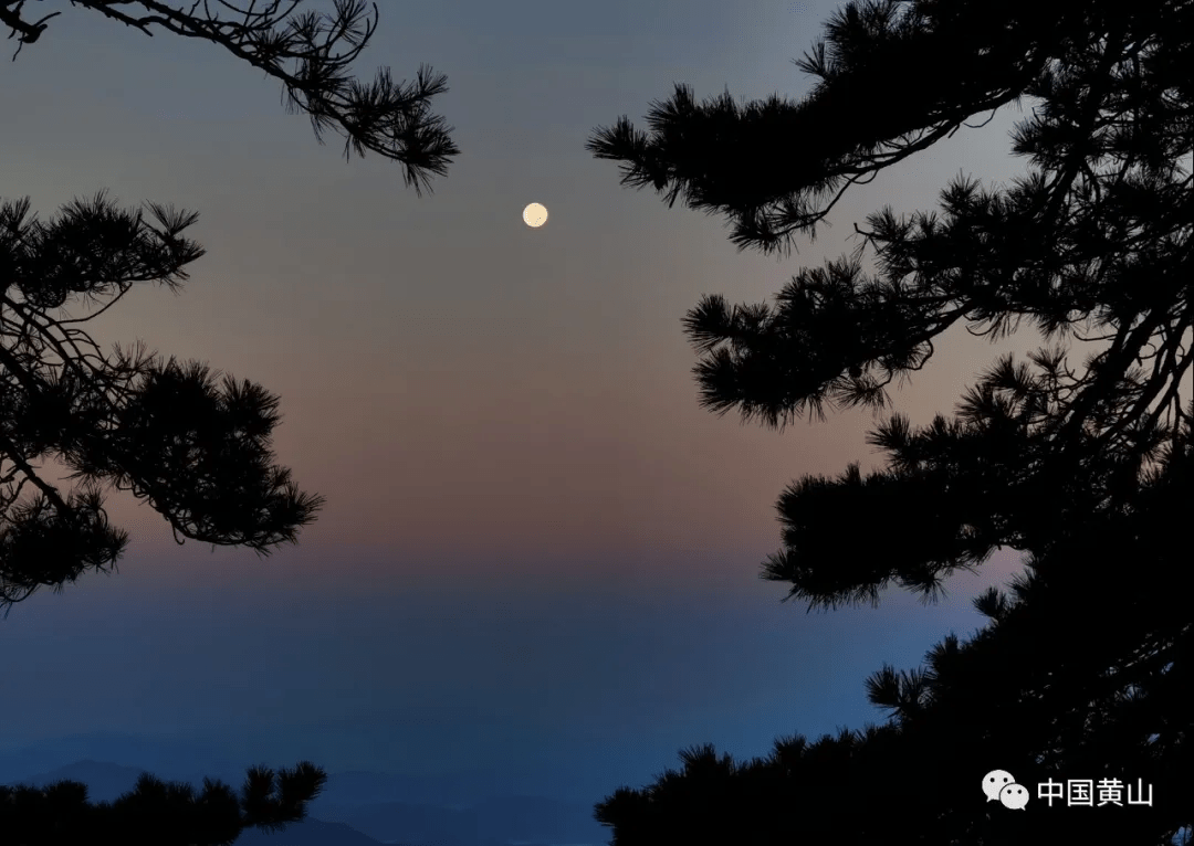 月满黄山中秋黄山圆月图赏