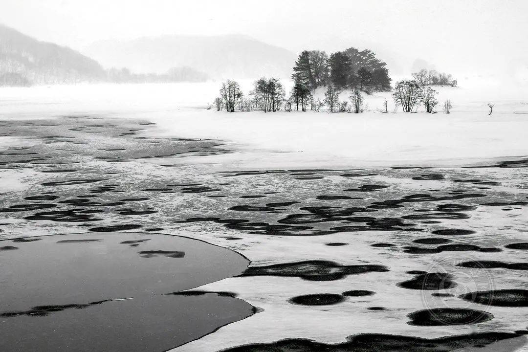 摄影|获奖公布丨2021第十届台中国际摄影艺术展作品（自然组）